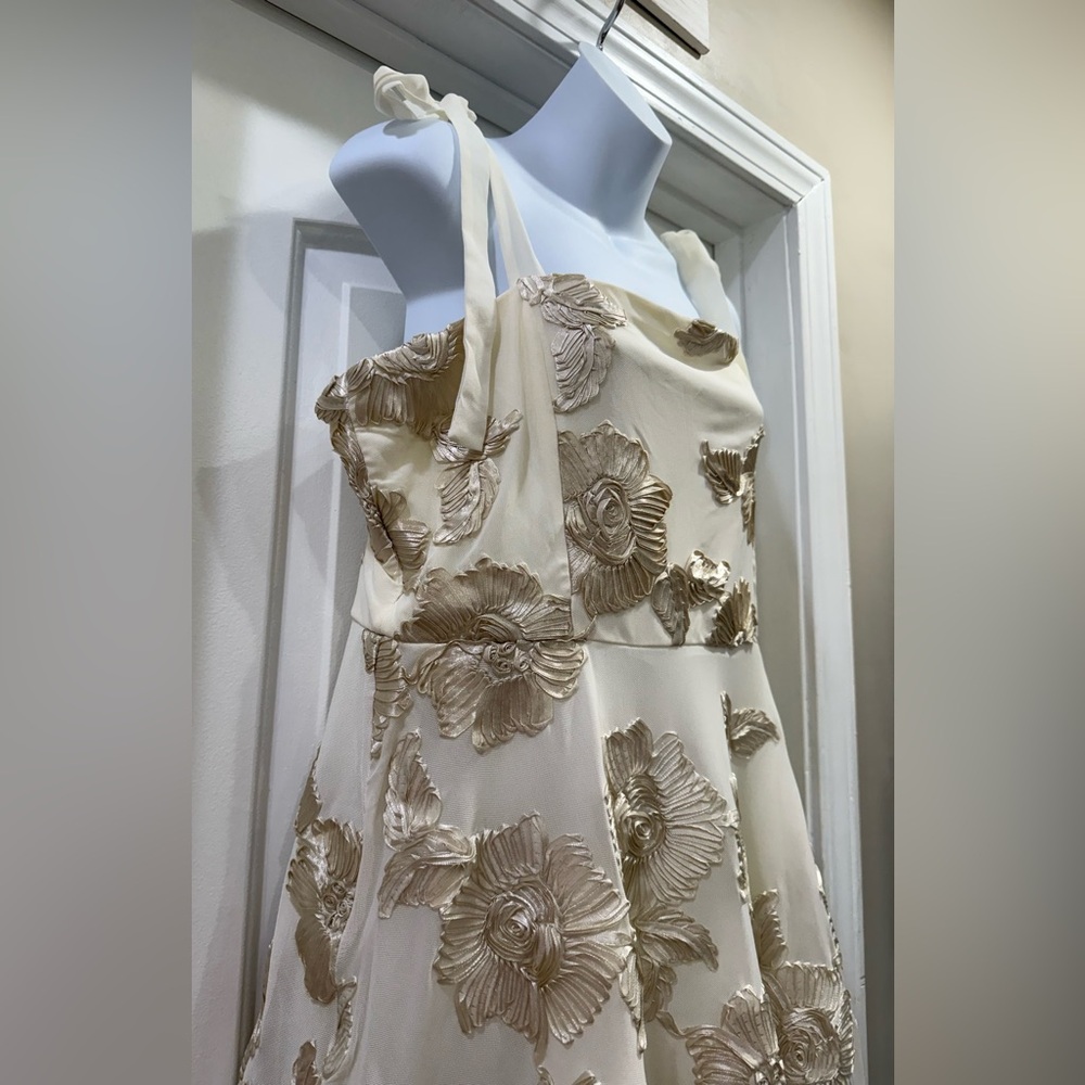 🆕🆕 Lulus Truly Inspiring Ivory Mesh Floral Mini Dress Size XL Prom Wedding Party - Picture 2 of 16
